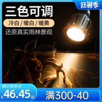 yee fish tank spot light South American landscape special light Three lakes ornamental native tank spot light Fish tank light South American tank spot light