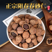 Authentic Yangchun specialty spring Amomum 100g nourishing stomach Chinese herbal medicine Amomum dried fruit soup steamed meat Tea Honey