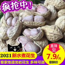 New water boiled peanuts 500g salty dried salt water garlic flavor fried spiced flavor with Shell garlic flavor Longyan specialty