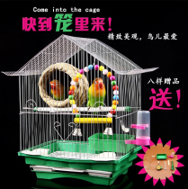 Tiger skin peony parrot bird cage Text bird cage Small bird cage House bird cage Pet bird supplies