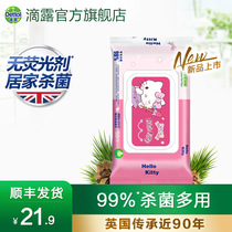 Drip Kitty cat cartoon custom wipes 50 pumping sterilization wet paper towel antibacterial belt cover portable household
