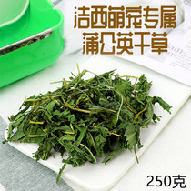 Dandelion Hay Hay Hay Leaf Pet Rabbit Grass Grain Feed Dragon Cat Dutch Pig Guinea Pig Herd 250 gr