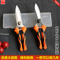 Garlic scissors special garlic garlic Hu garlic stick scissors garlic scissors garlic scissors garlic cut garlic special cut