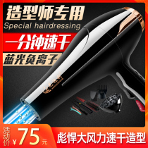 Electric Hair Dryer Home Hairdresser Wind Power High Power Hair Salon Special Men Hair Stylist Wind-Duct Negative Ion Hair Care