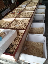 Dagan American ginseng tablets 250 grams of Chinese ginseng large tablets of Alpine Chinese medicine American ginseng lozenges convenient fast food tablets 500 grams