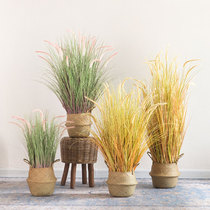ins Wind Net red simulation plant reed grass dog tail grass indoor window decoration landscaping green plant potted ornaments
