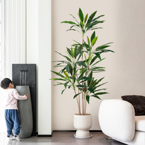 Simulation green plant potted velvet high-end light luxury Nordic style plant bonsai indoor living room floor decoration decoration