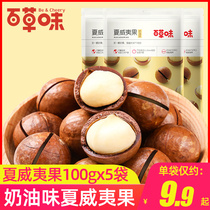 Baicao flavor Macadamia nuts 100g*3 bags of nuts fried summer fruit cream flavor new Year snacks wholesale