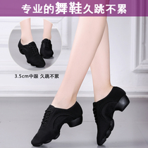 Professional Latin Dance Shoes Adult Ladies Teacher Shoes Square Dance Dance Shoes Middle Heel Ballroom Dance Shoes Female Soft Bottom
