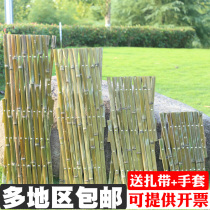 Bamboo fence telescopic small fence fence fence fence outdoor garden railing bamboo pole vegetable garden climbing rattan frame bamboo fence