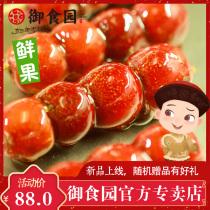 Sugar gourd old Beijing specialty royal food garden fresh fruit sugar gourd hawthorn non-freeze-dried snacks shunfeng cold chain