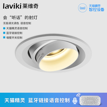 Tmall Genie intelligent spotlight led ceiling lamp ceiling living room lamp focusing corridor aisle light background wall Downlight