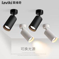 Surface mounted spotlight adjustable angle single household small ceiling track light spotlight LED ceiling light downlight