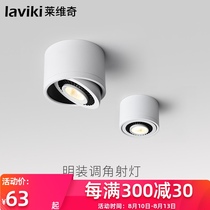 Levitch surface mounted spotlights led ceiling lights Ceiling background wall aisle entrance lights Nordic cob clothing store downlights