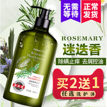 Parker Rosemary shampoo anti-mite anti-chip anti-itching oil fluffy woman to improve frizz soft shampoo cream