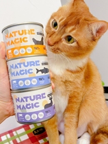 Peak co-factory New Zealand Natural magic cat cans Low Min no valley staple food Cat Kitty 90185g