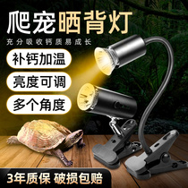 Tortoise Sunback lamp heat preservation lamp uvb climbing pet uva sun lamp calcium tortoise tank three-in-one heating adjustable bulb