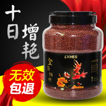 Goldfish feed color enhancement general small and medium-sized tropical fish ornamental fish special koi fish food guppies guppies fish lion fish food