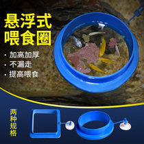 Enjoy a pet fish tank feeding ring thickened buoyancy feeding ring with suction cup water feed feeder Fish food
