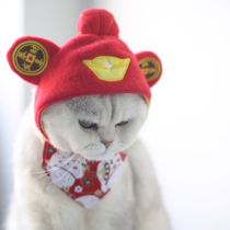 Cute dog Cat hat Teddy headgear Spring Festival Festive jewelry Change outfit Funny dress up Pet supplies