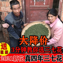 Panax notoginseng flower Yunnan Wenshan special new flower non-wild four years of Panax notoginseng flower tea 500g bulk 500g