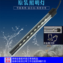 Starfish fish tank light LED white BLUE ornamental mini LED energy-saving aquarium lighting Shrimp tank water plant light