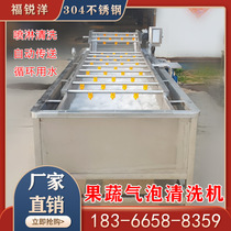 Commercial vegetable bubble cleaning machine grape Strawberry Peach tomato pepper cleaning equipment washing radish machine