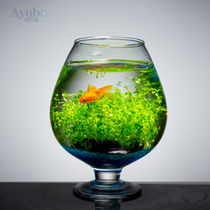 Creative desktop wine glass net red fish tank Living room small goldfish tank Betta fish tank household ecological mini aquarium landscaping