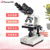 Phoenix binocular biological microscope XSP-36 HD 1600 high-power student home science science observation cells