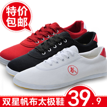 Twin Star Sports Martial Arts Shoes Women Summer Bull Gluten Bottom Sneakers Breathable Taijiquan Shoes Children Martial Arts Training