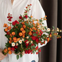 South Cross Star Emulation Flower small Rosaceae High-end Fake Flowers Living Room Light Lavish Decoration Flower Table Furnishing Dry Flowers-ins Wind