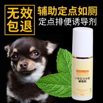 Dog toilet inducer training toilet agent positioning defecation toilet defecation fixed poop pet toilet training