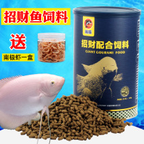 Merchant fish feed fish food dolphin map fish fortune fish warship fish feed fish meat ornamental fish feed