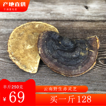  Authentic Yunnan wild red Ganoderma lucidum pruning deep mountain 250g half a catty can be sliced Linzhi powder with bitter sessile red zhi