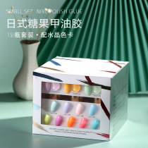 Day Style Spring Summer Pop Color Candy Macaron Chia oil gum phototherapy nail polish gel 12 color sleeve rubber mealshop special
