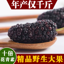 Mulberry dried black mulberry premium flagship store official Xinjiang mulberry dried 2021 new Traditional Chinese medicine tea sugar-free 1 kg