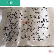 Canteen cockroaches household sticky fly paper restaurant fly stickers Cang rope agricultural 50 pieces of flies indoor board mosquitoes 5