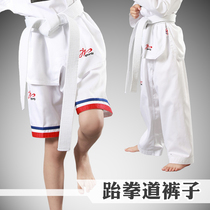 Taekwondo peak taekwondo pants Adult children cotton white beginner training pants shorts Summer Taekwondo suit T-shirt