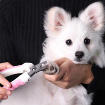 Pooch Fingernail Scissors Dog Nail Clippers Pet Clippers Nail Clippers Big Small Dogs Teddy Gold Wool Kitty nail clippers