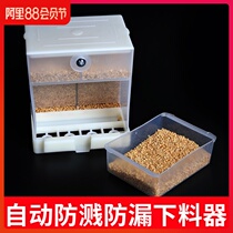 Tiger skin peony parrot automatic feeder feeder Bird food box Food trough Anti-sprinkling and splash-proof bird feeder Food bowl supplies