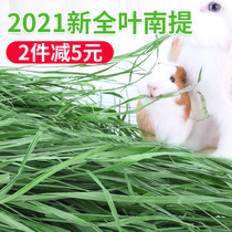 New 2021 tender grass drying Nantimothy Hay Hay rabbit forage rabbit grain pasture Chinchilla Dutch pig grain