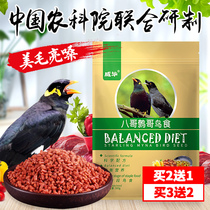Weibi starling Wren Bird food feed special bird food Bird feed Thrush lark supplies and utensils Nutritious bird material
