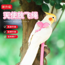 Parrot flying bird rope Ultra-light does not hurt the foot Xuanfeng tiger skin starling flight traction rope bird training artifact toy