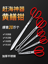 Clamp Mud Loach Crab Pliers Stainless Steel Yellow Eel Clips Eel Anti-Slip Anti-Remove And Catch Special Tool To Catch Sea God