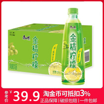 Master Kong kumquat lemon juice flavored drink PET500ml*15 bottles of FCL drinks