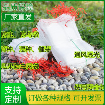 Nylon insect-proof rice breeding net bag dragon fruit grape fruit tomato vegetable bagging seed sprouting sprouting bag