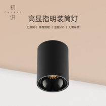 First-seen lighting downlight anti-glare household LED aisle corridor lights simple modern COB ceiling ceiling lamp