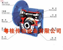 Taiwan UCAN double worm gear and worm aluminum shell reducer NMRV050 NRV050 original 2nd class reducer