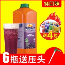 sunquick shindi new blackcurrant juice concentrate Juice drink thick pulp pulp original juice Milk tea shop special 2 5L
