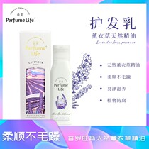 Fragrant hair conditioner lavender natural fragrance milk ladies lasting fragrance soft nourishing repair smooth maple